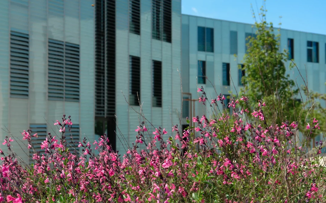 Relations, Environnement, Paysage en Asie du Sud. Séminaire