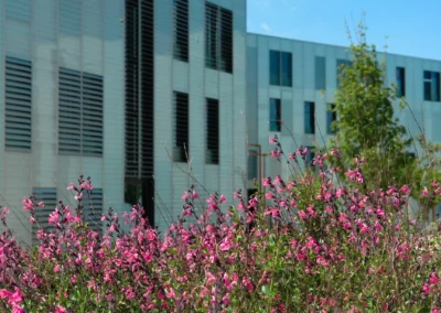 Relations, Environnement, Paysage en Asie du Sud. Séminaire