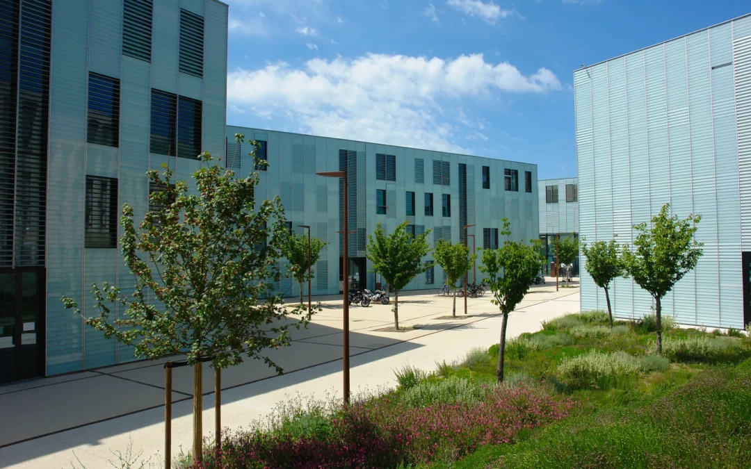 Effets réels. Festival international de littérature et théâtre. Projet transversal. Festival